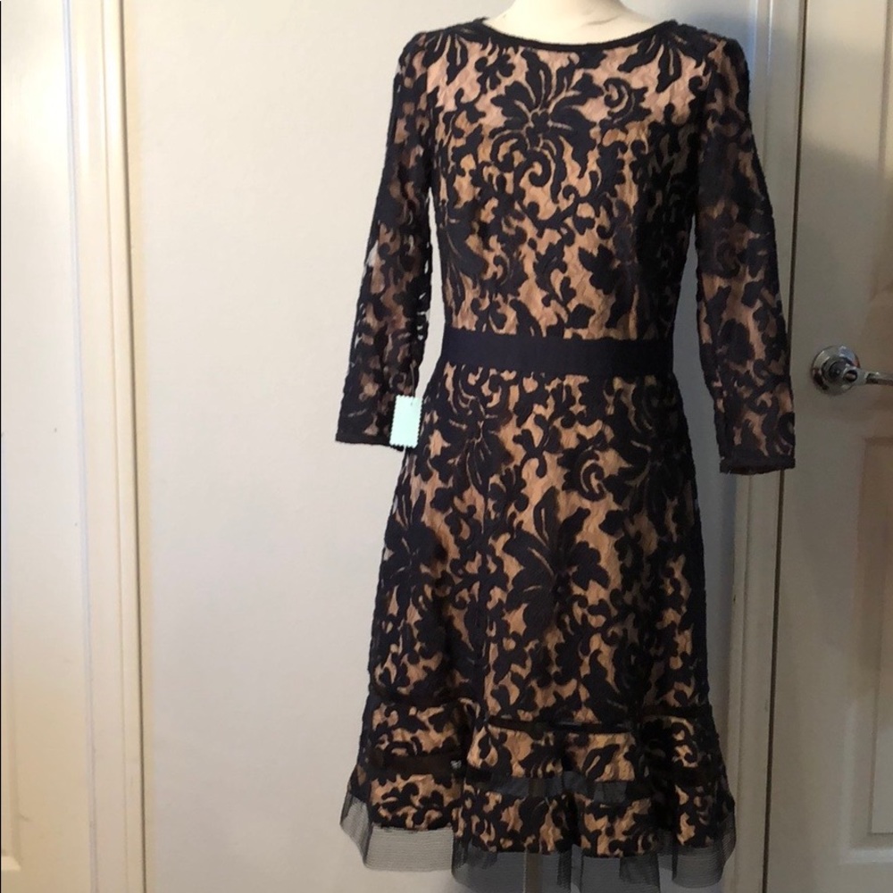 Tadashi Shoji navy & Nude Lace Dress